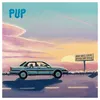 Image de Pup - Who Will Look After The Dogs? [Black Smoke/Pink/Purple Splatter Lp] [Vinyl Lp] Explicit, Pink, Purple, Black, Colored Vinyl, Smoke