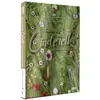 Image de Cendrillon DVD
