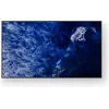 Image de Sony Sony Bravia Professional Displays FW-98BZ53L - 98" BZ53L Series écran LCD rétro-éclairé par LED - signalisation numérique - Android TV - 4K UHD (2160p) 3840 x 2160 - HDR -...