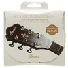 Image de Ibanez Iacsp6c - Jeu De Cordes Guitare Acoustique - Phosphore Bronze Coated - Light 12-53