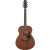 Image de Ibanez Ibanez Aam740e Platinum Collection Natural Low Gloss Guitare Électro-Acoustique Folk Avec Étui