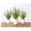 Image de Recharge triple de Thym pour Smart Garden - Click and Grow