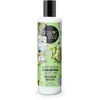 Image de organic shop Organic Shop - Shampoing Cheveux Secs Artichaut Brocoli Vegan Naturel 280 Ml