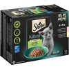 Image de Sheba Kitten Sélection mixte 12 x 85 g pour chaton - sélection mixte en sauce (saumon, poulet)
