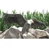 Image de Peluche Aigle AmÃ©ricain 75 Cm Anima