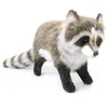 Image de Anima - Peluche Raton Laveur - 35 Cm