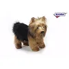 Image de Yorkshire Terrier 30cm