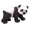 Image de Panda - Petit