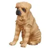 Image de Figurines Collecta - Chien Sharpei