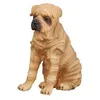 Image de Chien Sharpei
