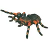 Image de Figurine Insecte - Mygale