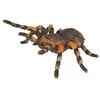 Image de Figurine Insecte : Mygale