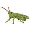 Image de Figurines Collecta - Insecte - Sauterelle