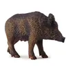 Image de Sanglier - Femelle Figurines Collecta