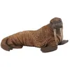 Image de Figurine Morse