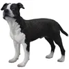 Image de Figurine Chien : American Staffordshire Terrier