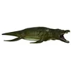 Image de Collecta - Col88699 - Pliosaurus - Deluxe - Echelle 1/40