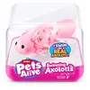 Image de Zuru PETS ALIVE SWIMMING AXOLOTL- S1,CUBE- 3Facing12PCS/PDQ