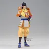 Image de Figurine DXF One Piece The Grandline Series Extra Kikunojo