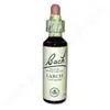 Image de FLEURS DE BACH Larch (20 ml)