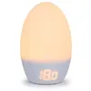 Image de TOMMEE TIPPEE Thermometre numérique Groegg USB