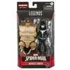 Image de Figurine Spiderman Legends 13