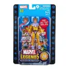 Image de Figurine Marvel Legends 20th Anniversaire - Marvel - Toad