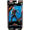 Image de Figurine Marvel Legends Ant-Man