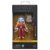 Image de Hasbro HASBRO Star Wars  Black Series Neel (At Attin)