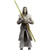 Image de Star Wars : The Clone Wars Black Series - Figurine Jedi Temple Guard 15 cm