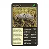 Image de Jeu de cartes avec animaux dégoutants