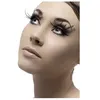 Image de Faux cils noir avec plumes