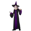 Image de Costume de Sorcière Ensorcelante -Halloween