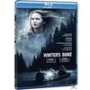 Image de Winter's Bone