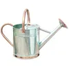 Image de Arrosoir en acier galvanisé 9 litres Gris métallisé