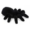 Image de Aurora Mini Flopsietarentule en peluche 20,5 cm noir