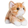 Image de Aurora Chat MiYoni orange/blanc 20 cm