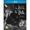 Image de La Belle et la Bête Blu-ray