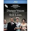 Image de Distant Voices, Still Lives Blu-ray