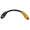 Image de StarTech.com 6in S-Video to Composite Video Adapter Cable - adaptateur vidéo - S-Vidéo / vidéo composite - 15 cm