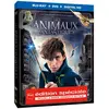 Image de Les Animaux Fantastiques Edition Spéciale Fnac Combo Blu-ray + DVD