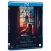 Image de Wonder Wheel Blu-ray