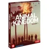 Image de Animal Kingdom Saison 1 DVD