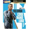 Image de Cool Hand Luke Blu-ray 4K Ultra HD