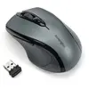 Image de Kensington K72423WW Souris sans Fil Argent