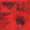 Image de Break The Glass, Burn The Cage Édition Limitée Vynile Coloré