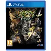 Image de Ps4 Dragon S Crown Pro Standard Uk