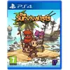 Image de The Survivalists PS4