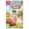 Image de Everdream Valley Nintendo Switch