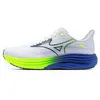 Image de Mizuno Wave Rider 29 Homme 44.5 Gris/Argent